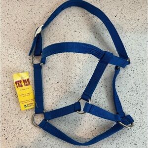 Tex Tan Weanling Horse Halter NEW Color blue